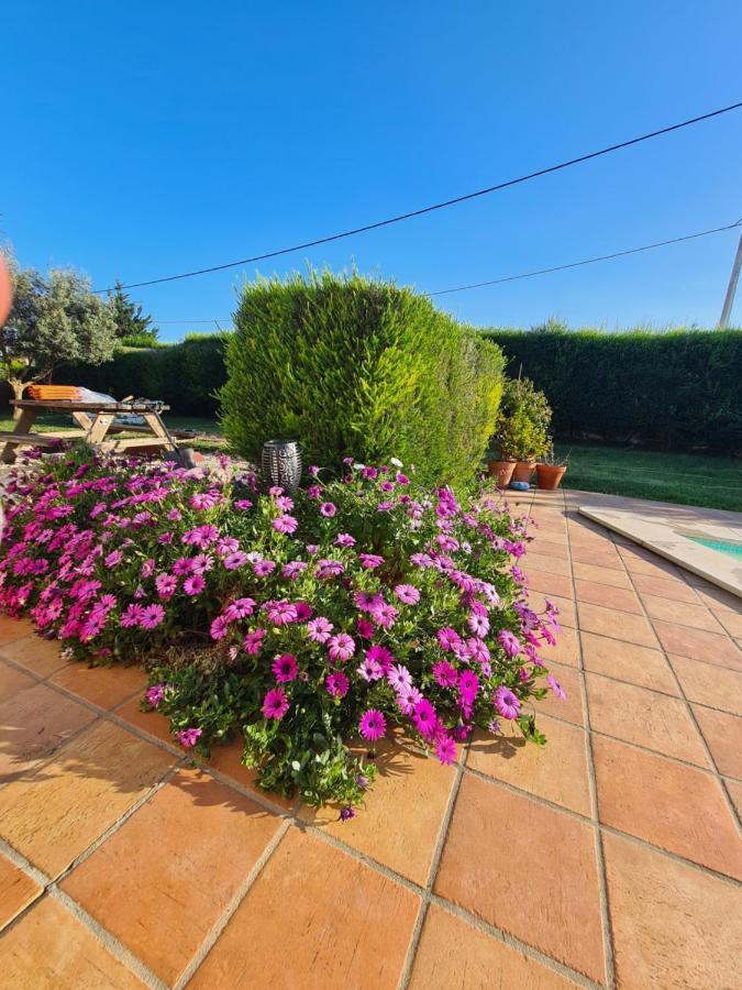 Casa Ensolarada B&B And Pottery Aljezur Exterior photo