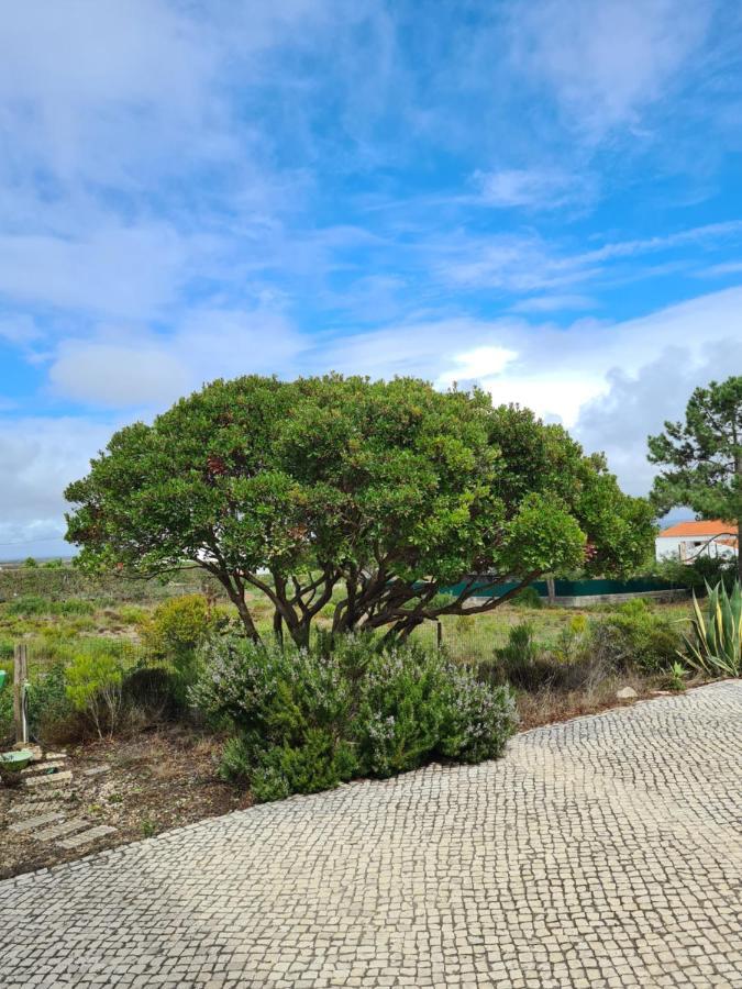 Casa Ensolarada B&B And Pottery Aljezur Exterior photo